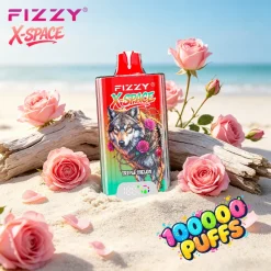 Fizzy X Space 100K 100000 Puffs Vape 2