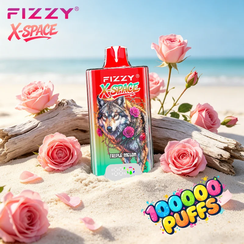 Fizzy X Space 100K 100000 Puffs Vape 2