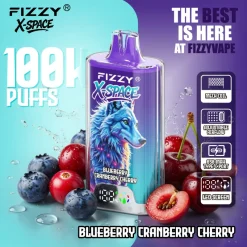 Fizzy X Space 100K Puffs Disposable Vape Blueberry Cranberry Cherry