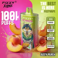 Fizzy X Space 100K Puffs Disposable Vape Juicy Peach