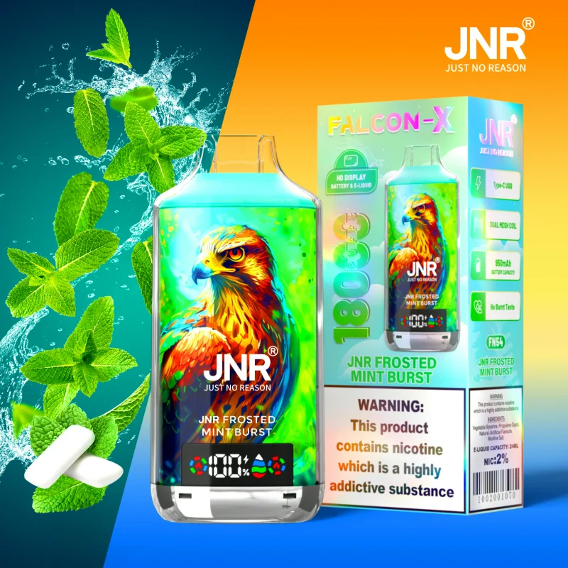 JNR Falcon X 18K Disposable Vape FX51 JNR Frosted Mint Burst
