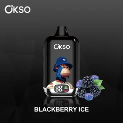 OKSO Digital Box 12000 Puffs Disposable Vape 17 Blackberry ice