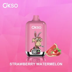 OKSO Digital Box 12000 Puffs Disposable Vape 3 Strawberry Watermelon