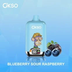 OKSO Digital Box 12000 Puffs Disposable Vape 6 Blueberry Sour Raspberry